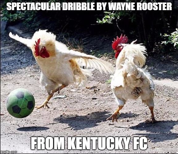 What a cock...... (: | | SPECTACULAR DRIBBLE BY WAYNE ROOSTER; FROM KENTUCKY FC | image tagged in lol,chicken,football,boss,swag,kfc | made w/ Imgflip meme maker