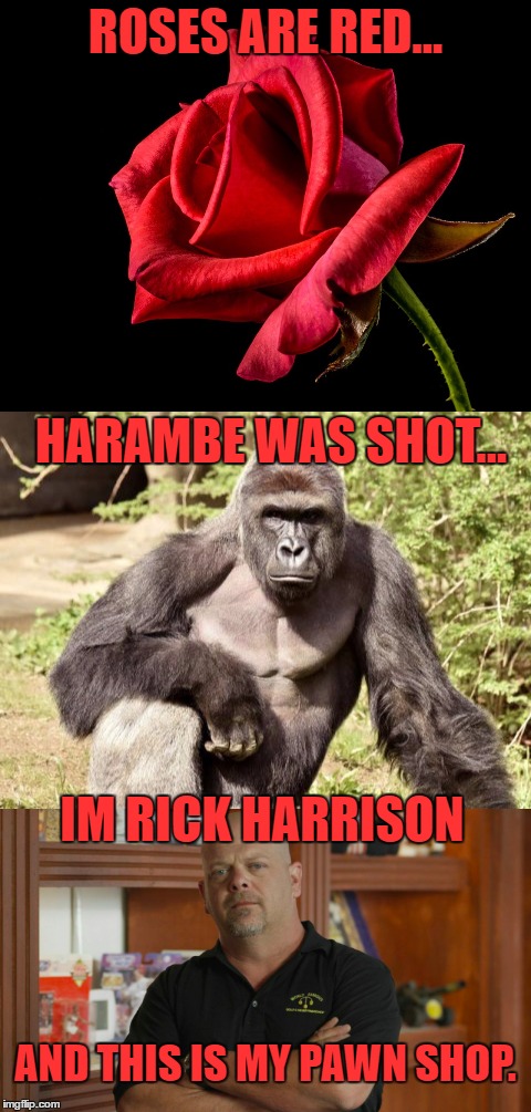 Its a repost but i dont care. | ROSES ARE RED... HARAMBE WAS SHOT... IM RICK HARRISON; AND THIS IS MY PAWN SHOP. | image tagged in memes,funny,roses are red,harambe,rick harrison,poem | made w/ Imgflip meme maker