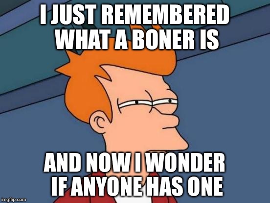 Futurama Fry Meme | I JUST REMEMBERED WHAT A BONER IS; AND NOW I WONDER IF ANYONE HAS ONE | image tagged in memes,futurama fry | made w/ Imgflip meme maker