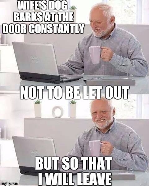 Hide the Pain Harold | WIFE'S DOG BARKS AT THE DOOR CONSTANTLY; NOT TO BE LET OUT; BUT SO THAT I WILL LEAVE | image tagged in memes,hide the pain harold | made w/ Imgflip meme maker