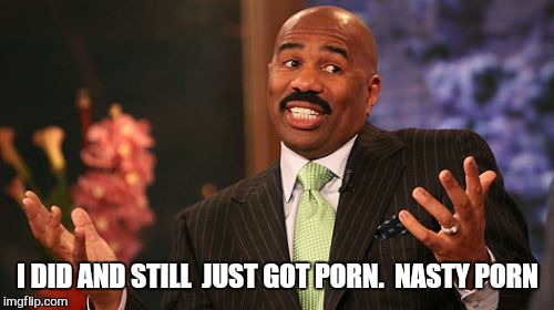 I DID AND STILL  JUST GOT PORN.  NASTY PORN | image tagged in memes,steve harvey | made w/ Imgflip meme maker