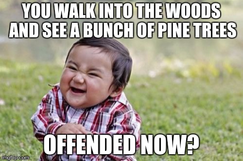 Evil Toddler Meme | YOU WALK INTO THE WOODS AND SEE A BUNCH OF PINE TREES OFFENDED NOW? | image tagged in memes,evil toddler | made w/ Imgflip meme maker