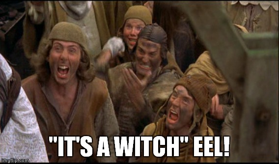 "IT'S A WITCH" EEL! | made w/ Imgflip meme maker