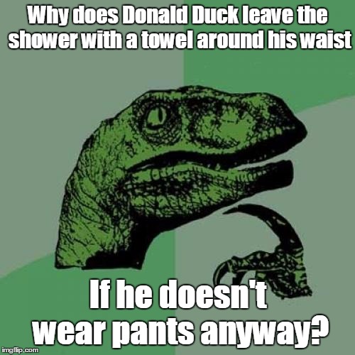 ................................................................................................................................ | Why does Donald Duck leave the shower with a towel around his waist; If he doesn't wear pants anyway? | image tagged in memes,philosoraptor,trhtimmy,donald duck,gotta love that title though | made w/ Imgflip meme maker