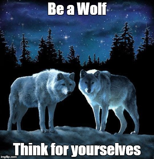 Think | Be a Wolf; Think for yourselves | image tagged in wolf | made w/ Imgflip meme maker
