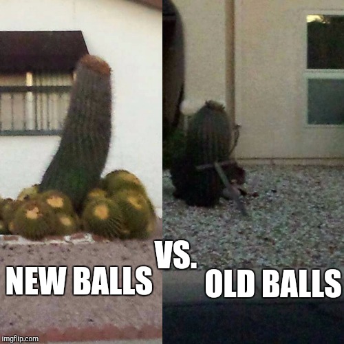 Old balls vs. New balls | OLD BALLS; VS. NEW BALLS | image tagged in memes | made w/ Imgflip meme maker