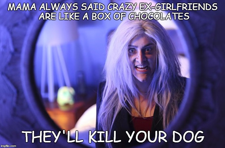 MAMA ALWAYS SAID CRAZY EX-GIRLFRIENDS ARE LIKE A BOX OF CHOCOLATES; THEY'LL KILL YOUR DOG | image tagged in crazy ex-girlfriend with mirror | made w/ Imgflip meme maker