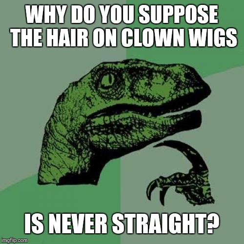 Philosoraptor Meme | WHY DO YOU SUPPOSE THE HAIR ON CLOWN WIGS; IS NEVER STRAIGHT? | image tagged in memes,philosoraptor,clowns,white privilege | made w/ Imgflip meme maker