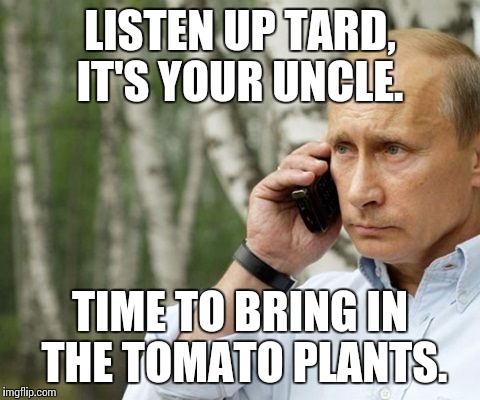 LISTEN UP TARD, IT'S YOUR UNCLE. TIME TO BRING IN THE TOMATO PLANTS. | image tagged in putincall | made w/ Imgflip meme maker