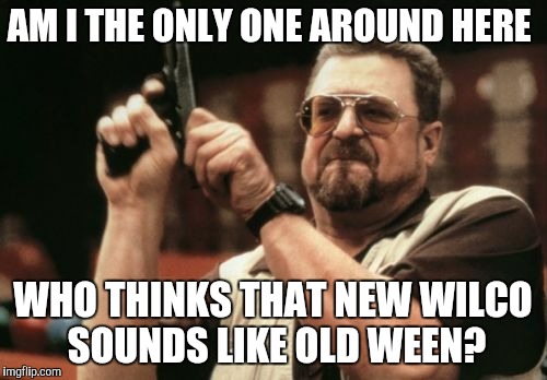 Am I The Only One Around Here Meme |  AM I THE ONLY ONE AROUND HERE; WHO THINKS THAT NEW WILCO SOUNDS LIKE OLD WEEN? | image tagged in memes,am i the only one around here | made w/ Imgflip meme maker