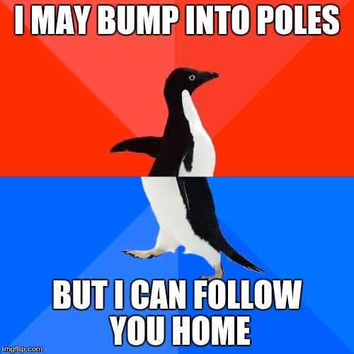 Socially Awesome Awkward Penguin Meme | I MAY BUMP INTO POLES; BUT I CAN FOLLOW YOU HOME | image tagged in memes,socially awesome awkward penguin | made w/ Imgflip meme maker