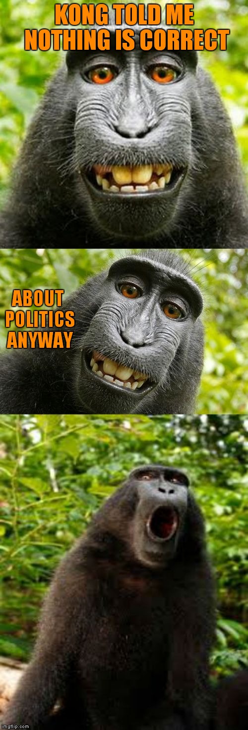 bad pun monkey | KONG TOLD ME NOTHING IS CORRECT ABOUT POLITICS ANYWAY | image tagged in bad pun monkey | made w/ Imgflip meme maker