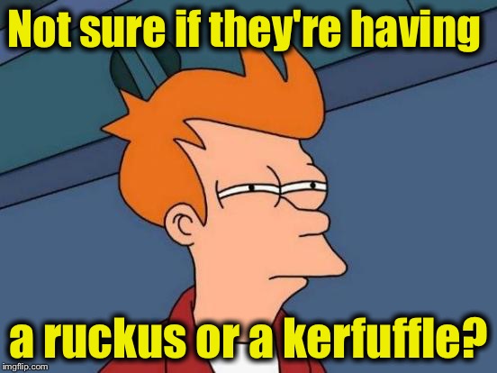 Futurama Fry Meme | Not sure if they're having; a ruckus or a kerfuffle? | image tagged in memes,futurama fry,evilmandoevil,funny | made w/ Imgflip meme maker