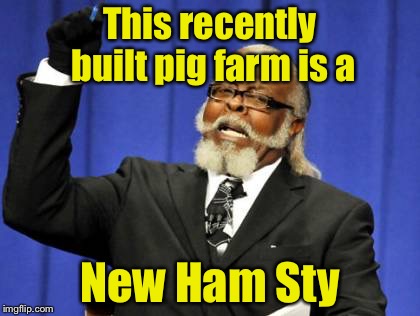 Too Damn High Meme | This recently built pig farm is a; New Ham Sty | image tagged in memes,too damn high | made w/ Imgflip meme maker