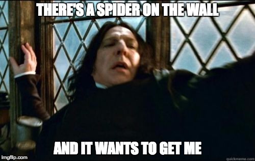 Down at the waterspout | THERE'S A SPIDER ON THE WALL; AND IT WANTS TO GET ME | image tagged in memes,spider,fear,bugs | made w/ Imgflip meme maker