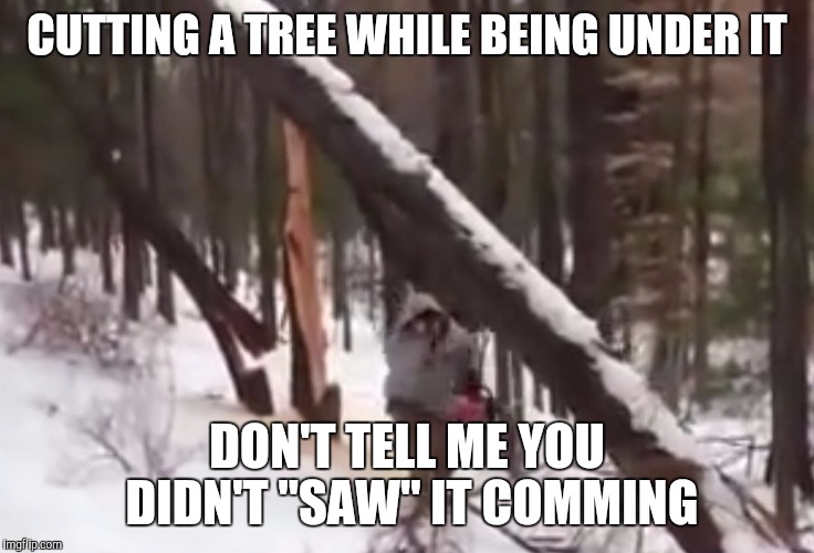 CUTTING A TREE WHILE BEING UNDER IT; DON'T TELL ME YOU DIDN'T "SAW" IT COMMING | image tagged in idiot,memes | made w/ Imgflip meme maker