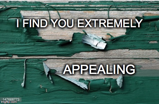 Wanna Strip? | I FIND YOU EXTREMELY; APPEALING | image tagged in janey mack meme,flirty,peeling paint,i find you extremely appealing | made w/ Imgflip meme maker