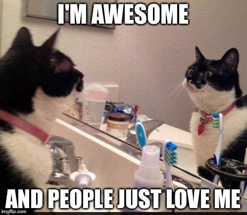 Motivational Cat | I'M AWESOME; AND PEOPLE JUST LOVE ME | image tagged in motivational cat | made w/ Imgflip meme maker