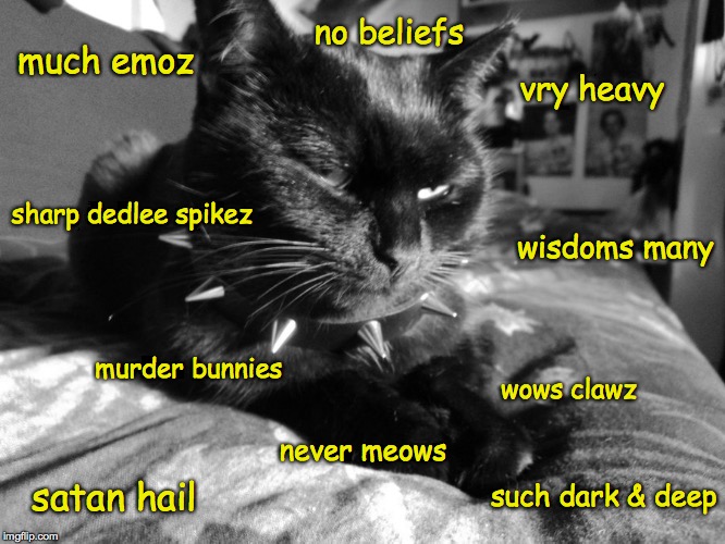 Teenage Angst Cat | no beliefs; much emoz; vry heavy; sharp dedlee spikez; wisdoms many; murder bunnies; wows clawz; never meows; such dark & deep; satan hail | image tagged in cats,dank memes,original meme,funny memes,existentialism,lolcats | made w/ Imgflip meme maker