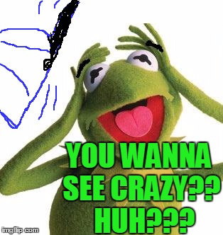 YOU WANNA SEE CRAZY??  HUH??? | image tagged in scared kermit | made w/ Imgflip meme maker