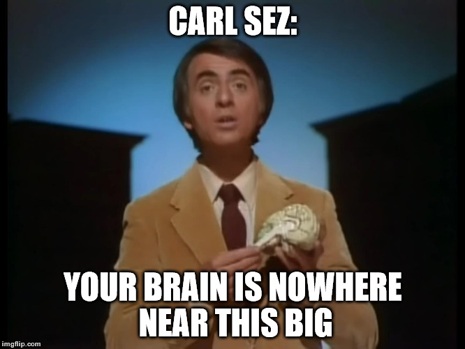 Carl Sez | CARL SEZ:; YOUR BRAIN IS NOWHERE NEAR THIS BIG | image tagged in memes,funny,carl sagan,brain | made w/ Imgflip meme maker