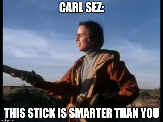 Carl Sez |  CARL SEZ:; THIS STICK IS SMARTER THAN YOU | image tagged in memes,funny,carl sagan,stick | made w/ Imgflip meme maker