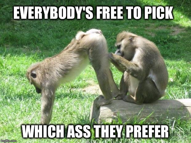 EVERYBODY'S FREE TO PICK WHICH ASS THEY PREFER | made w/ Imgflip meme maker