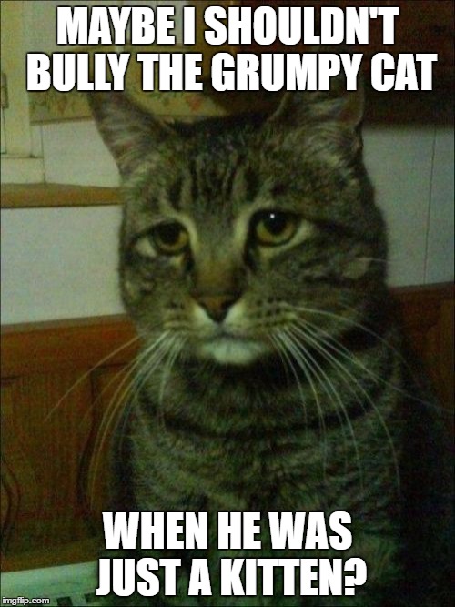 Depressed Cat | MAYBE I SHOULDN'T BULLY THE GRUMPY CAT; WHEN HE WAS JUST A KITTEN? | image tagged in memes,depressed cat,grumpy cat,regret | made w/ Imgflip meme maker