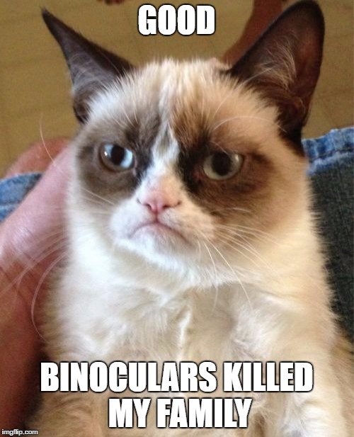 Grumpy Cat Meme | GOOD BINOCULARS KILLED MY FAMILY | image tagged in memes,grumpy cat | made w/ Imgflip meme maker