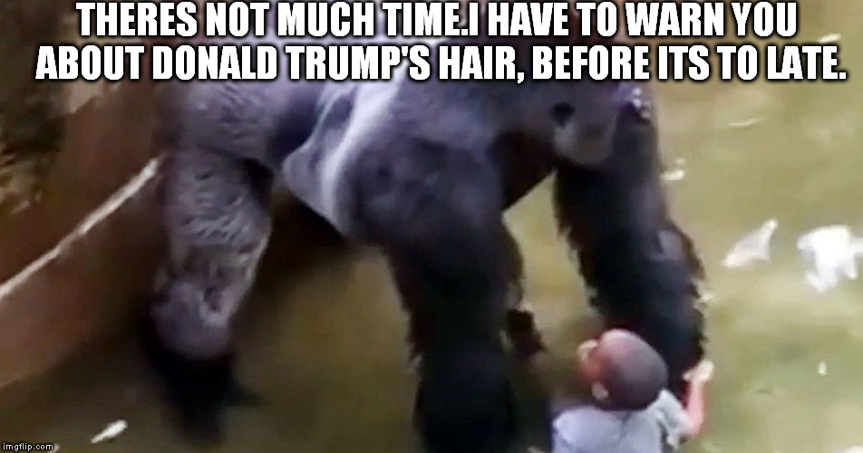 THERES NOT MUCH TIME.I HAVE TO WARN YOU ABOUT DONALD TRUMP'S HAIR, BEFORE ITS TO LATE. | image tagged in harmabe | made w/ Imgflip meme maker