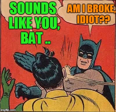 Batman Slapping Robin Meme | SOUNDS LIKE YOU,  BAT .. AM I BROKE,  IDIOT?? | image tagged in memes,batman slapping robin | made w/ Imgflip meme maker