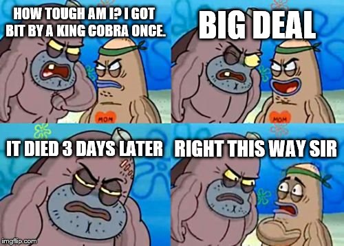 How Tough Are You | BIG DEAL; HOW TOUGH AM I? I GOT BIT BY A KING COBRA ONCE. IT DIED 3 DAYS LATER; RIGHT THIS WAY SIR | image tagged in memes,how tough are you | made w/ Imgflip meme maker