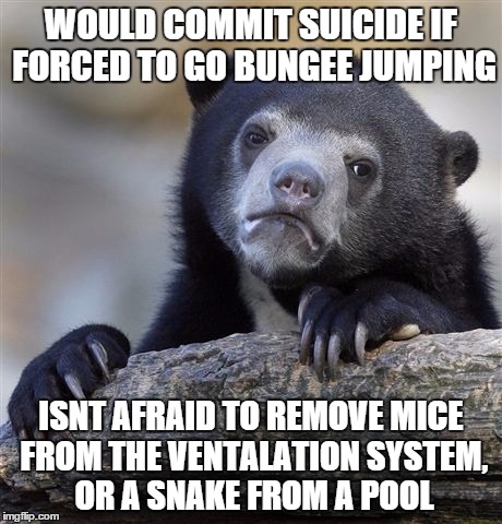 Confession Bear Meme | WOULD COMMIT SUICIDE IF FORCED TO GO BUNGEE JUMPING; ISNT AFRAID TO REMOVE MICE FROM THE VENTALATION SYSTEM, OR A SNAKE FROM A POOL | image tagged in memes,confession bear | made w/ Imgflip meme maker