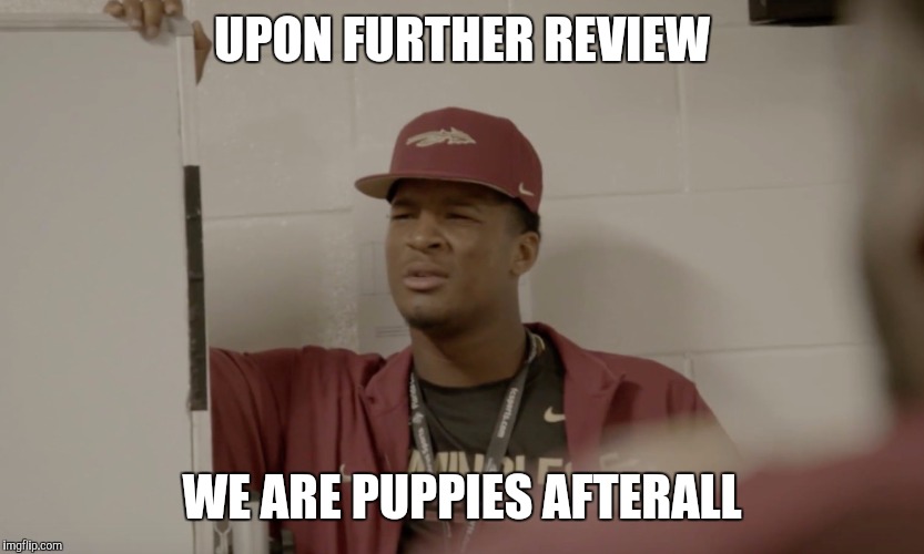 UPON FURTHER REVIEW; WE ARE PUPPIES AFTERALL | image tagged in puppies | made w/ Imgflip meme maker