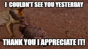 The ultimate compliment | I  COULDN'T SEE YOU YESTERDAY; THANK YOU I APPRECIATE IT! | image tagged in chameleon,fight,meme,camo,wow,blend | made w/ Imgflip meme maker