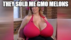 THEY SOLD ME GMO MELONS | made w/ Imgflip meme maker