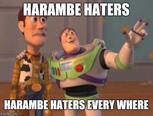 X, X Everywhere Meme | HARAMBE HATERS; HARAMBE HATERS EVERY WHERE | image tagged in memes,x x everywhere | made w/ Imgflip meme maker