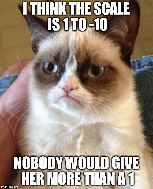 Grumpy Cat Meme | I THINK THE SCALE IS 1 TO -10 NOBODY WOULD GIVE HER MORE THAN A 1 | image tagged in memes,grumpy cat | made w/ Imgflip meme maker