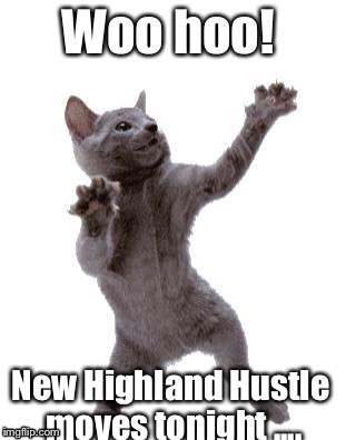 Hustle Cat | Woo hoo! New Highland Hustle moves tonight .... | image tagged in happy dance cat | made w/ Imgflip meme maker