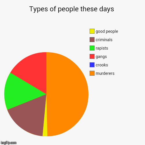 image tagged in funny,pie charts | made w/ Imgflip chart maker