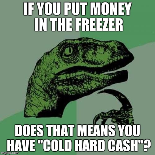 Putting Money in the Freezer... | IF YOU PUT MONEY IN THE FREEZER; DOES THAT MEANS YOU HAVE "COLD HARD CASH"? | image tagged in memes,philosoraptor,money,meme,cash | made w/ Imgflip meme maker