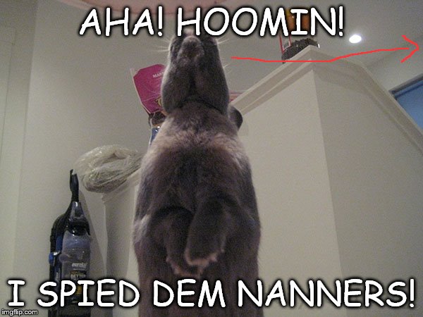 Aha! | AHA! HOOMIN! I SPIED DEM NANNERS! | image tagged in memes | made w/ Imgflip meme maker