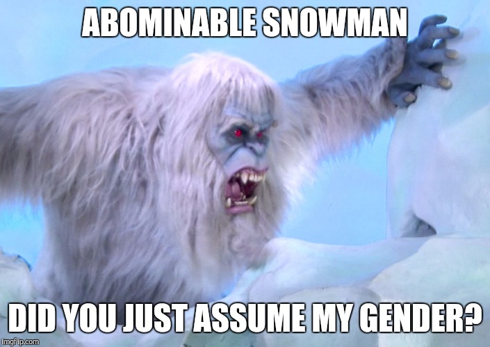 abominable snowman gender | ABOMINABLE SNOWMAN; DID YOU JUST ASSUME MY GENDER? | image tagged in gender identity,gender | made w/ Imgflip meme maker