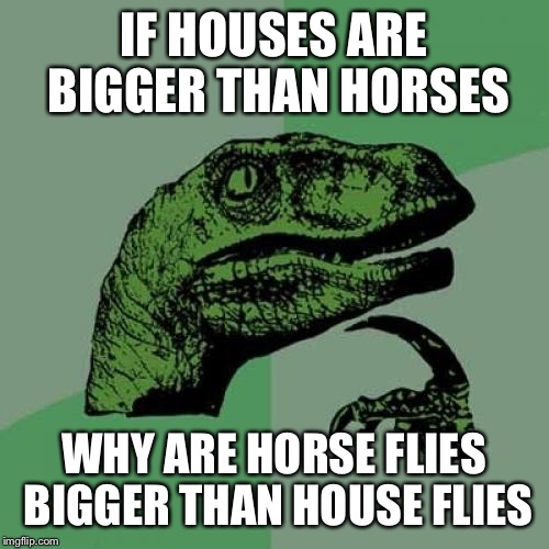 Philosoraptor Meme | IF HOUSES ARE BIGGER THAN HORSES; WHY ARE HORSE FLIES BIGGER THAN HOUSE FLIES | image tagged in memes,philosoraptor | made w/ Imgflip meme maker