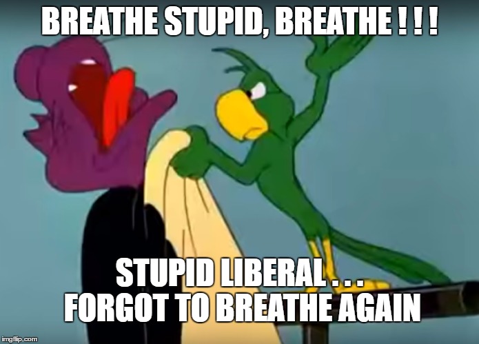 Duhhh...I forgot to breathe again! | BREATHE STUPID, BREATHE ! ! ! STUPID LIBERAL . . . FORGOT TO BREATHE AGAIN | image tagged in liberals,stupid,forgot to breathe | made w/ Imgflip meme maker