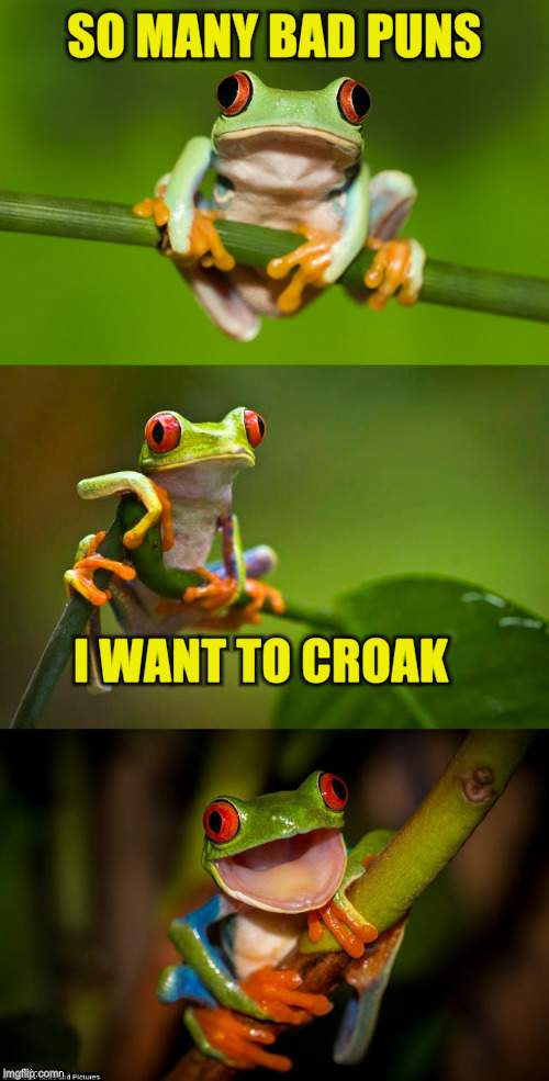 Frog Puns | SO MANY BAD PUNS I WANT TO CROAK | image tagged in frog puns | made w/ Imgflip meme maker