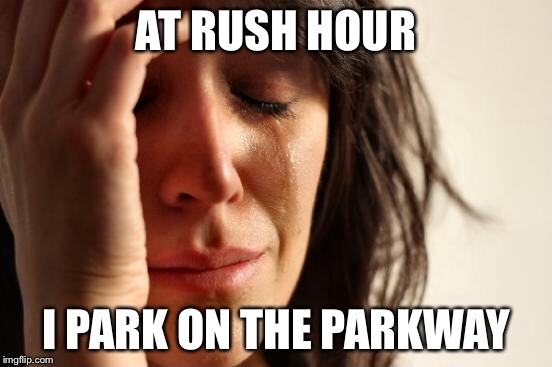 First World Problems Meme | AT RUSH HOUR I PARK ON THE PARKWAY | image tagged in memes,first world problems | made w/ Imgflip meme maker