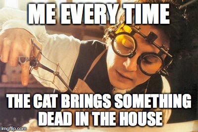 They do it because they love us. | ME EVERY TIME; THE CAT BRINGS SOMETHING DEAD IN THE HOUSE | image tagged in johnny depp sleepy hollow,dead,animal,cat,gift,memes | made w/ Imgflip meme maker