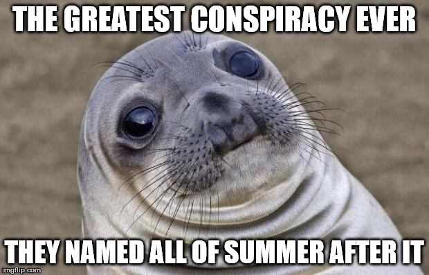 Awkward Moment Sealion | THE GREATEST CONSPIRACY EVER; THEY NAMED ALL OF SUMMER AFTER IT | image tagged in memes,awkward moment sealion | made w/ Imgflip meme maker