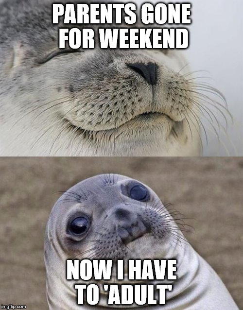 Short Satisfaction VS Truth Meme | PARENTS GONE FOR WEEKEND; NOW I HAVE TO 'ADULT' | image tagged in memes,short satisfaction vs truth | made w/ Imgflip meme maker